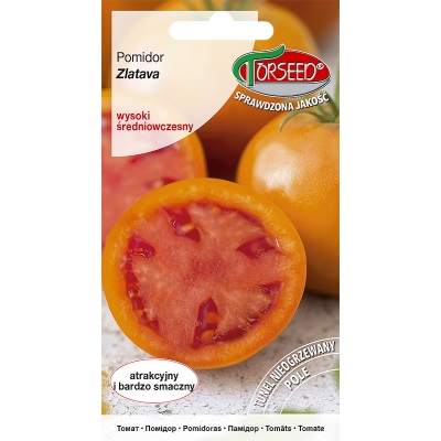 POMIDOR Zlatava POMARAŃCZOWY nasiona